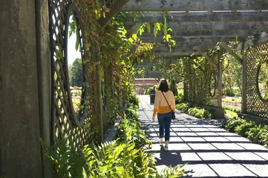 How To Make the Most of a Romantic Weekend in Asheville