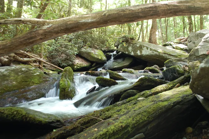 Catawba Falls in Asheville