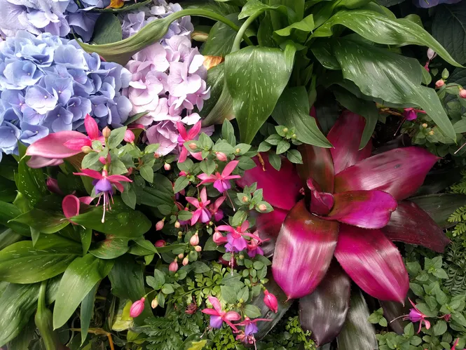 Gardens at the Biltmore Mansion