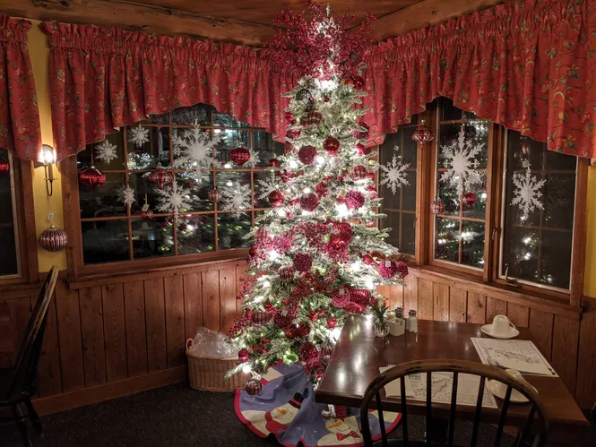 Christmas Tree in Door   County, WI