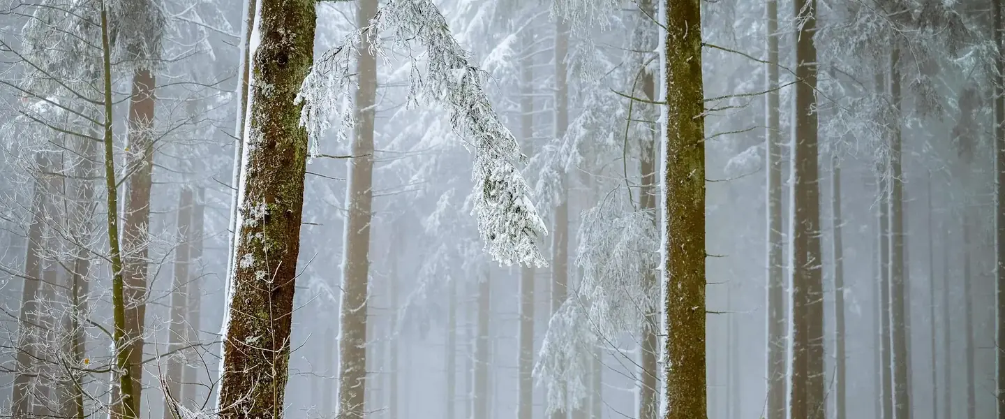 In Door County, Wisconsin, Winter Holds Unexpected Charms