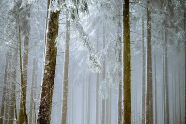 In Door County, Wisconsin, Winter Holds Unexpected Charms