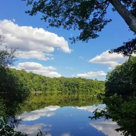 Things To Do in Virginia's Fairfax County