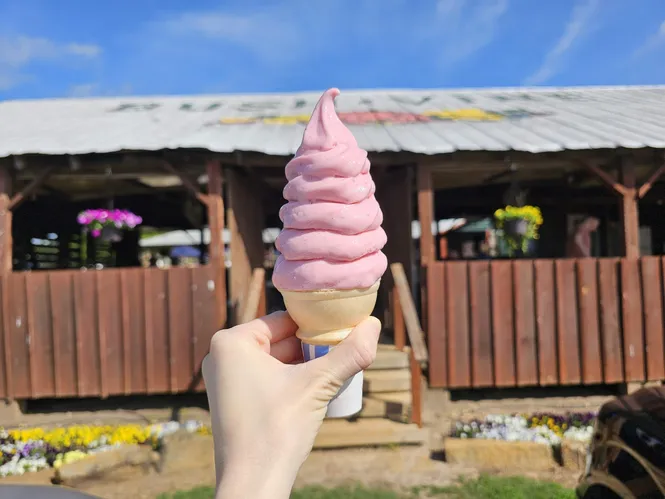 Homemade strawberry ice cream at Bush-N-Vine in York County, SC