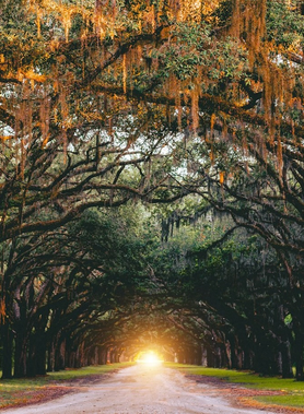 Georgia