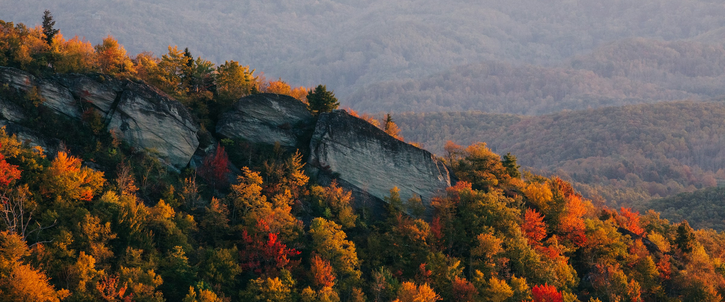 North Carolina