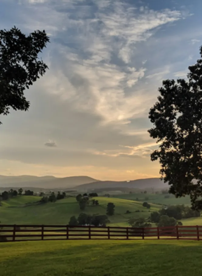 Virginia