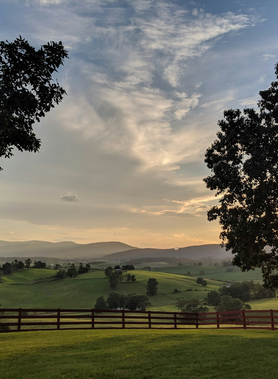 Virginia