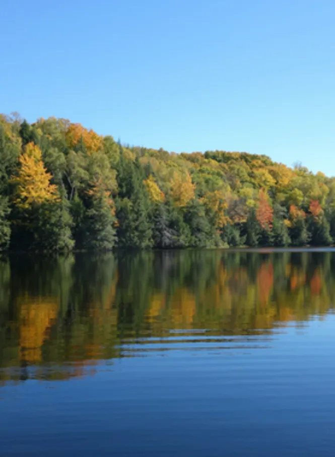 Wisconsin