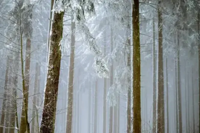 In Door County, Wisconsin, Winter Holds Unexpected Charms