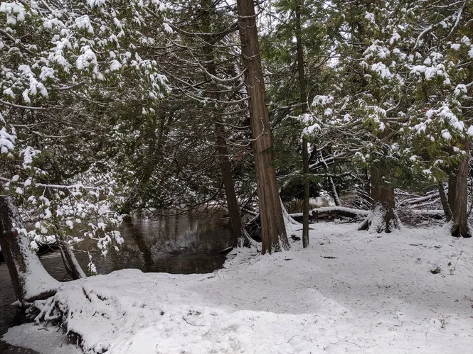 Snow-covered wood and river at Whitefish Dunes State Park in Door County, WI