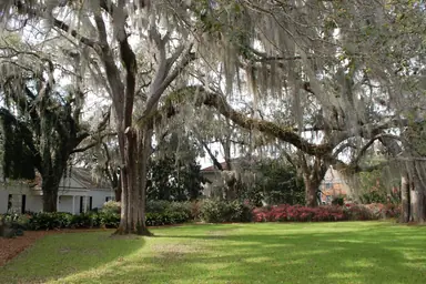 More Than a Pit Stop: A Perfect Day in Valdosta, GA