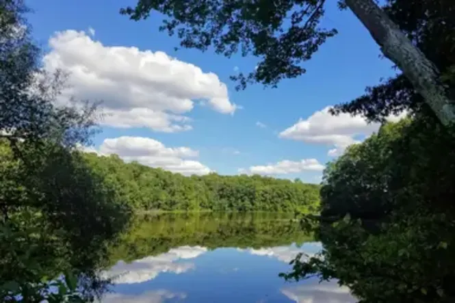Things To Do in Virginia's Fairfax County
