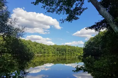Things To Do in Virginia's Fairfax County