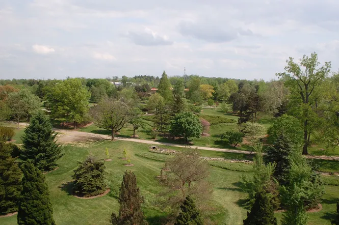 View from the viewing tower at Cox Arboretum in Dayton, Ohio