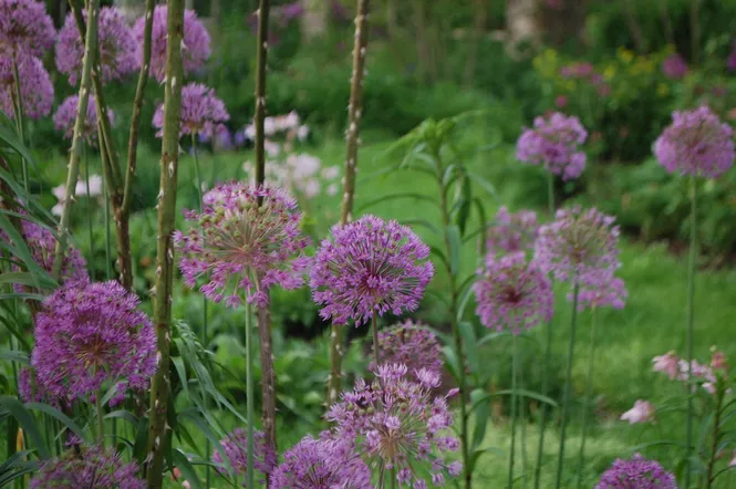 Wegerzyn Gardens in Dayton, Ohio